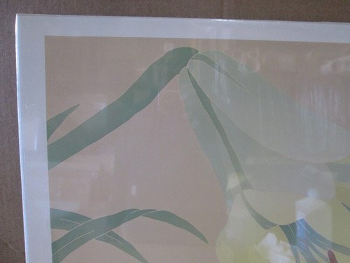 CAROL HOFFNAGLE 1986 VINTAGE POSTER LINSAY'S LILLY CNG3135 - Picture 3 of 5