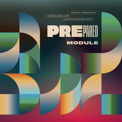Prepared Module (Schallplatte) 12'' Album