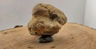 Bild 10 von 22