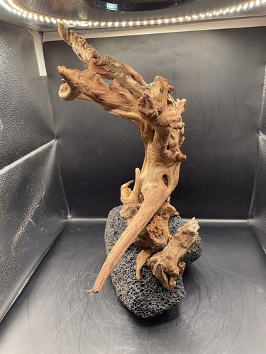 Acquario Driftwood Wood Mix Acquascape Naturale Design Unico - Fangspire Ascent - Foto 4 di 9