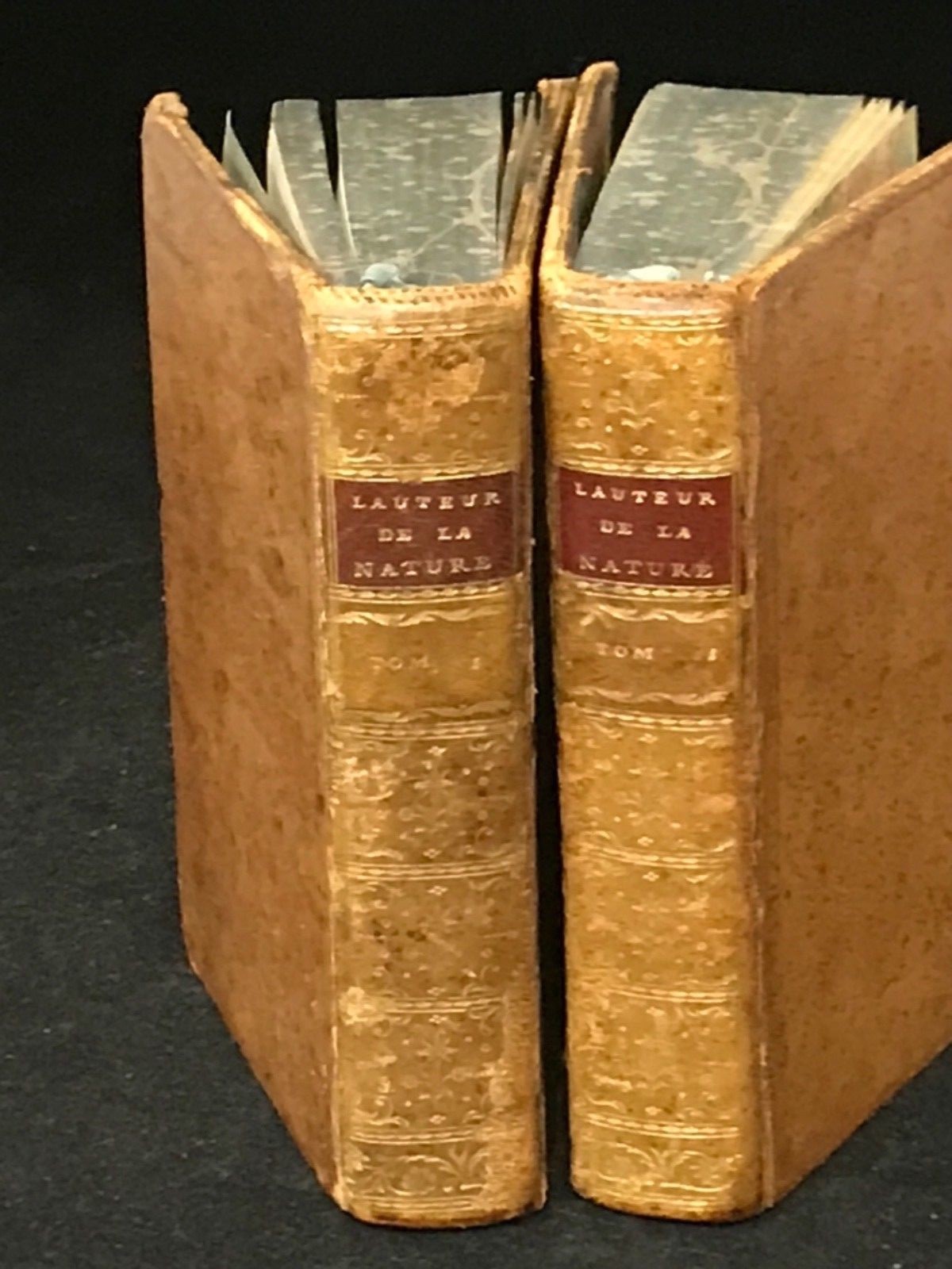 Foto 1 di 12