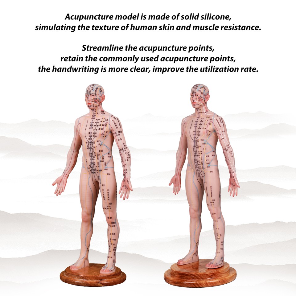 Human Acupuncture Model 48/55cm Silicone Body English Acupoint Labeled ...
