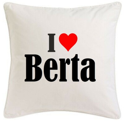KISSENBEZUG I LOVE BERTA 40CMX40CM AUS MIKROFASER
