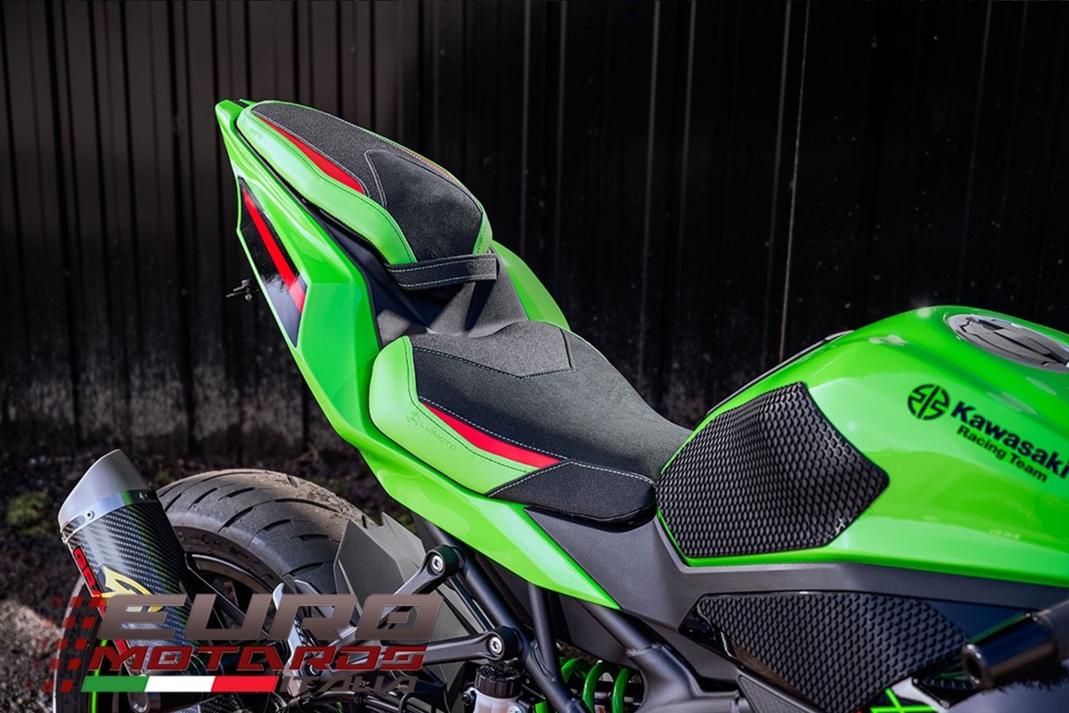 ＳＳＧ　Ｍサイズ Kawasaki Ninja ZX-4R RR 2023-2024 Luimoto Sport-R Suede Tec
