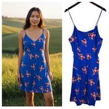 Express Sundress Dress Sz XL 14 16 Blue Pink Floral Cottage Romantic Slvss f