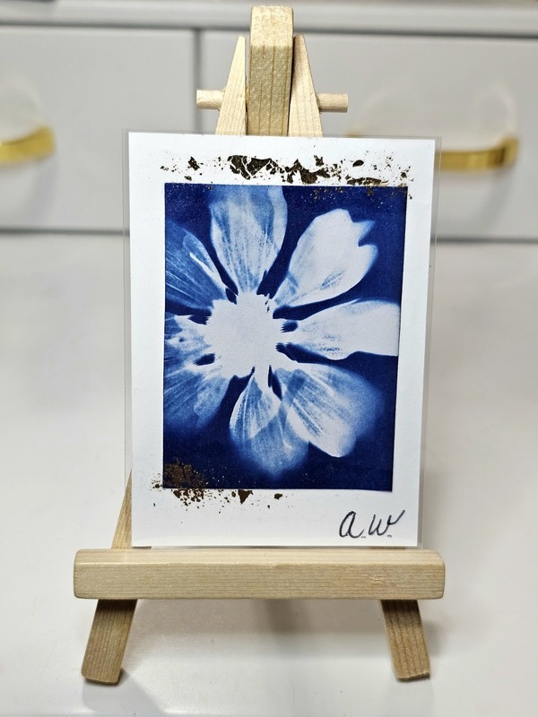 ACEO Original Cyanotype Flower Art with Gold Foil Accent