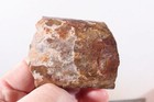 Fossil Pierre Shale Sutured Baculite Ammonite 3.8 oz rough lot Q — photo 9