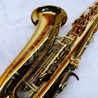 Foto 13 di 24