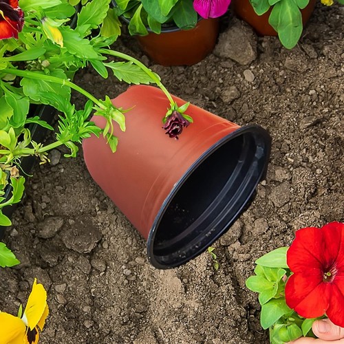 Economical 50 Pack of 1 Gallon Plastic Plant Pots - Perfect for Seed Starting - Picture 8 of 9