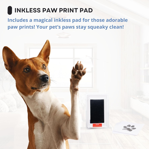 Pet Memorial Dog Picture Frame, 4 Customizable Displays, 9X9, Paw Print Kit for - Picture 4 of 12