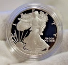 2006 W (Proof) Silver Eagle $1 Nice Cameo