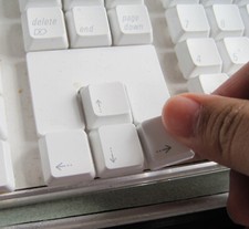Keycap Replacement Kit - for Apple Keyboards A1048 A1016 - Key or Keys Ship Free