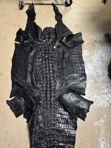 8’7 Black Wild Alligator Hornback