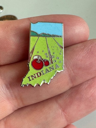 Vintage Indiana State-Shape Scenic Enamel Lapel Pin — Farm Fields & Tomatoes