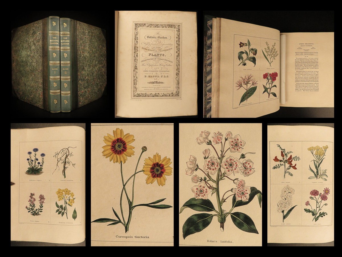 洋書 MAUND'S BOTANIC GARDEN VOL4 洋書 MAUND'S BOTANIC GARDEN VOL4 洋書 MAUND'S BOTANIC GARDEN VOL4