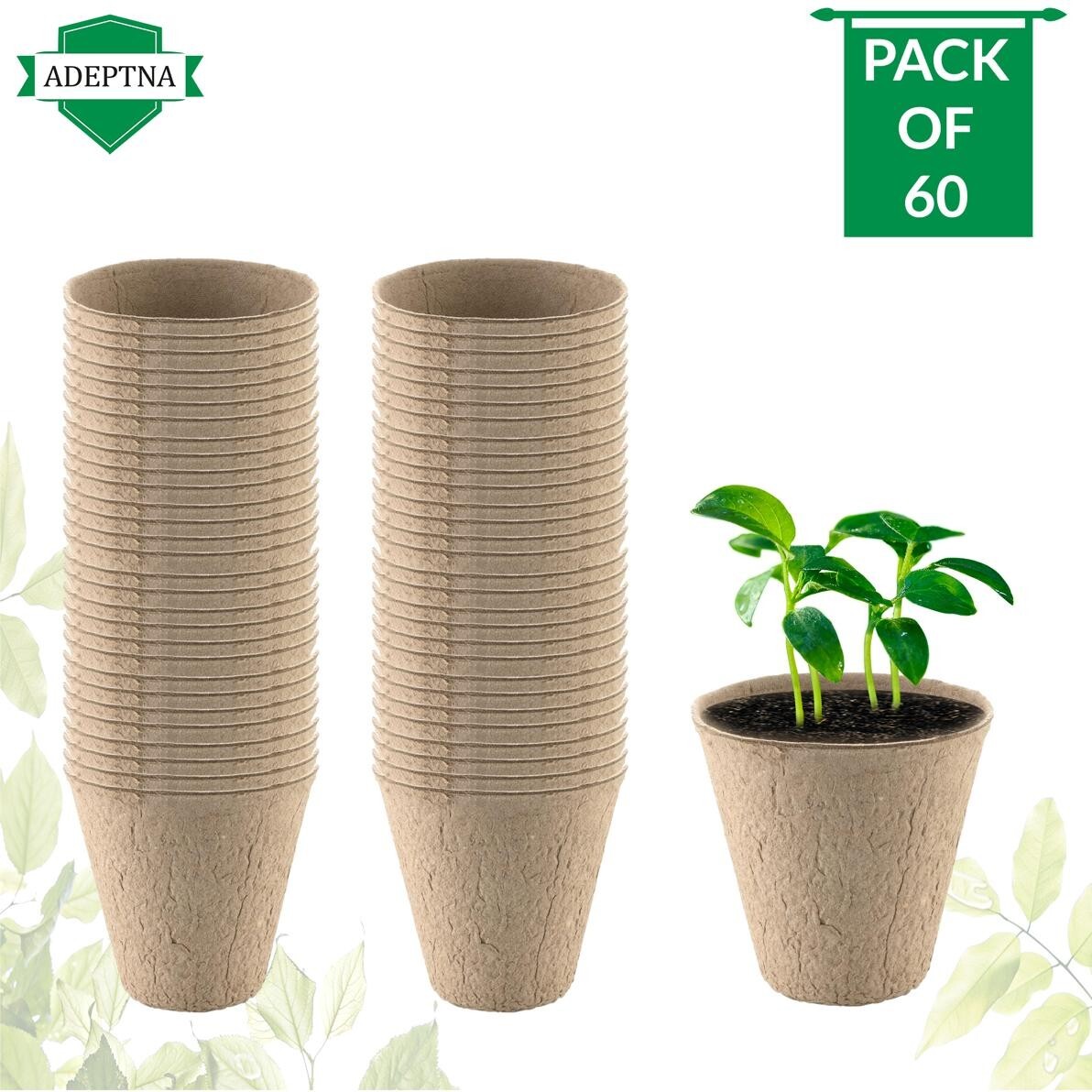 60 PACK FIBRE PLANT POTS FOR GROWING SEEDS CONTAINERS TRANSPLANT SEED