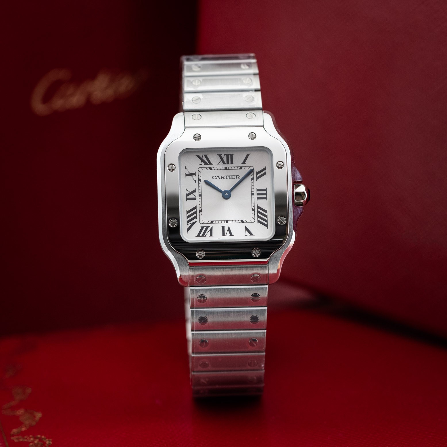 Cartier Santos WSSA0082