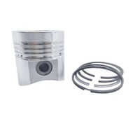 Kolben + Kolbenringsatz (Std - 95,00 Mm): Passend FüR Lombardini / Lda 672 / Lda