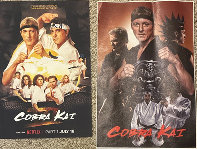 Cobra Kai Netflix Art Posters Set of 2 Martial Arts Karate TV Series Unframed