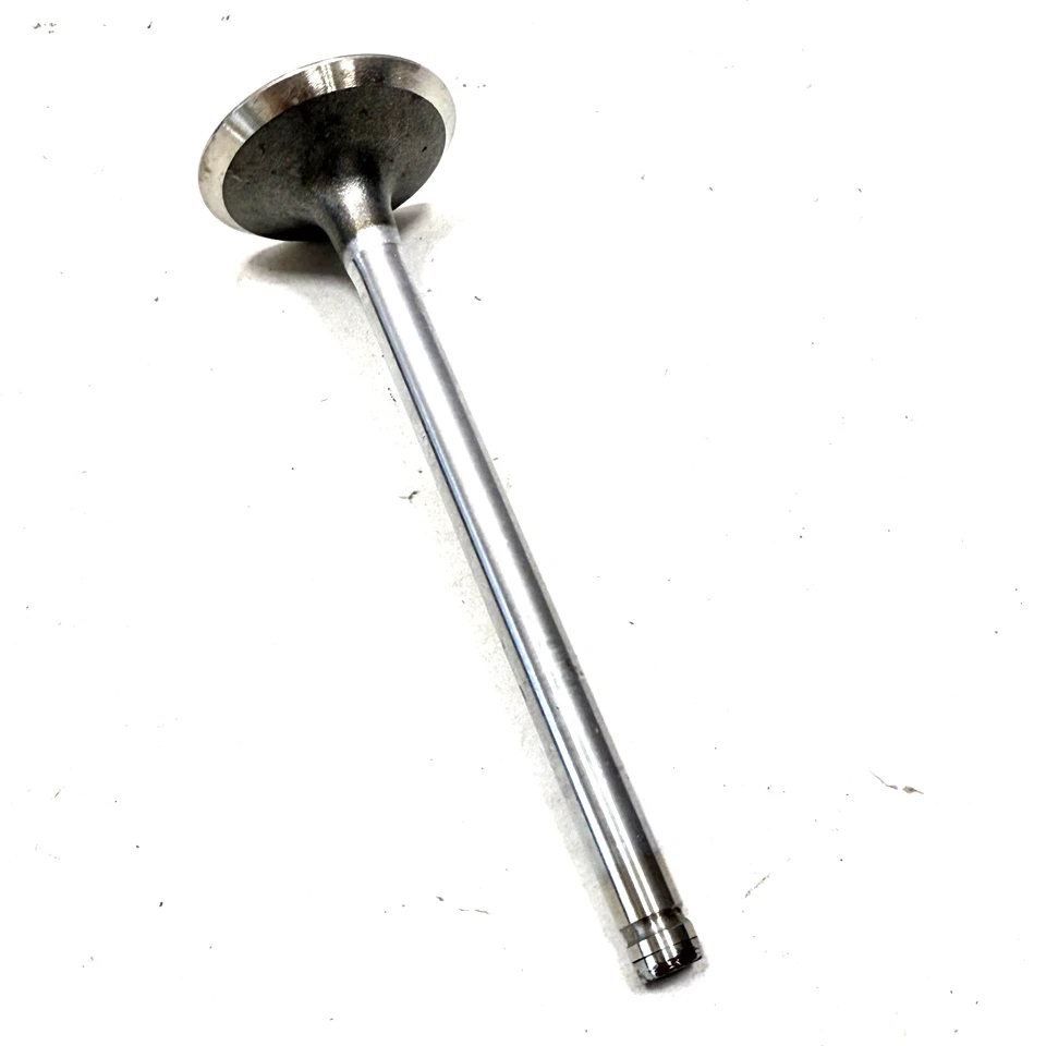 原始设备制造商通用 1995 - 2009 年雪佛兰别克庞蒂亚克发动机排气阀 12579949 — 第 3/4 张图片