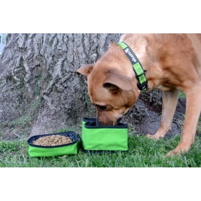 Alcott Travel Dog Duo Bowl - Portátil Agua y Alimentos Cierre de Cremallera Capacidad 48 OZ Foto 2 de 3