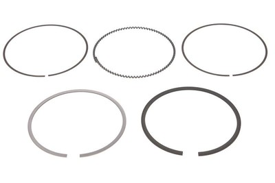 Piston Ring Kit NE 8950525000