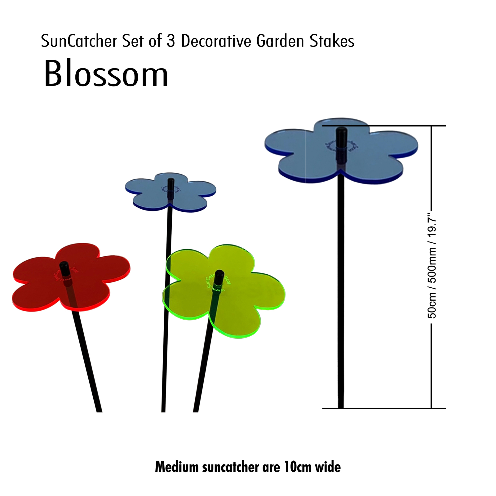 Bild 14 von 33