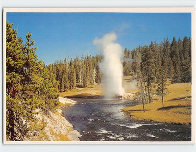 #ad Postcard Riverside Geyser Yellowstone National Park Wyoming USA $6.99