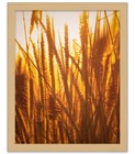 Bild 4 von 8
