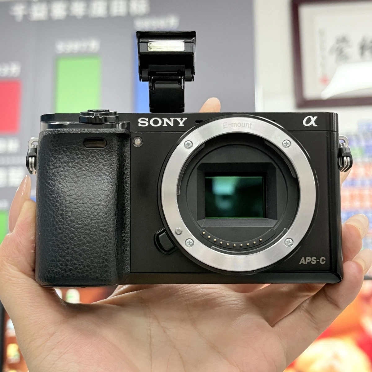 Las mejores ofertas en Sony A6000 las cámaras de objetivos
