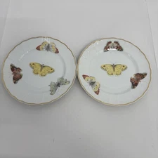 Rare Vintage B & C Limoges France Bernardaud & Co. Butterfly 6.5" Round