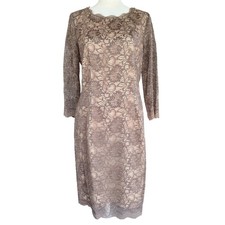 Alex Marie Stella Dress Size 8 Brown Autumn Escape Lace Lined Elegant Cocktail