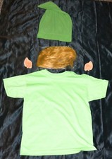 Link From Zelda Shirt Wig Ears Hat Halloween Costume Kids Boys Size 8-10 M Youth