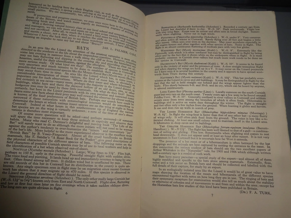 The Lizard - A magazine of Field Studies booklet 1956 - Ivor Thomas - Image 3 of 4