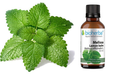 Zitronenmelisse (Melisse) Tinktur 50ml - Kräuterflüssigextrakt + Vit.B1