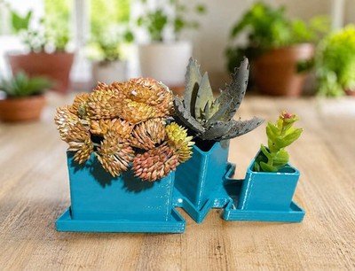 Triple Pot Succulent Planter - Air Plant Holder