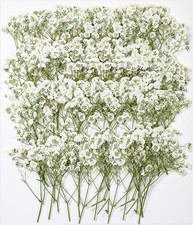 112Pcs White Babys Breath Dried Pressed Flowers for Crafts, Real Natural Dry Flo