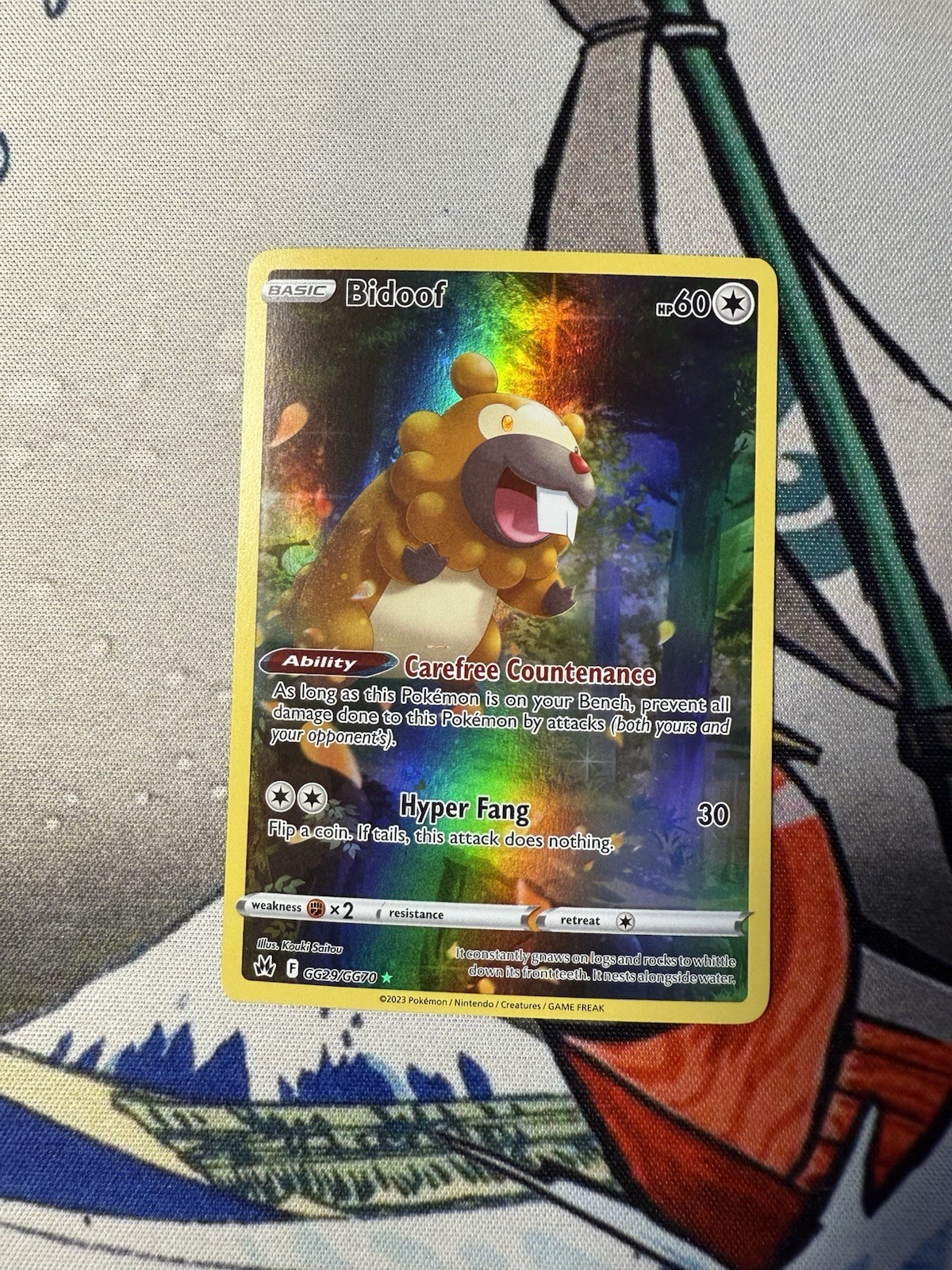 Bidoof GG29/GG70 Crown Zenith: Galarian Gallery Holo NM Pokémon Card