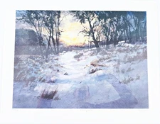 Morning Light Print By Tom Lynch Signed & Numbered 17.5" x 22"