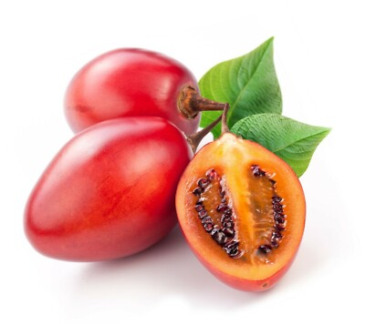 #ad Red Tamarillo Seeds Solanum betaceum Easy to Grow Cyphomandra Tree Tomato $5.75