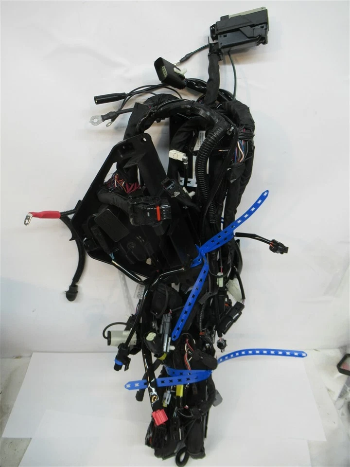 Harley Davidson 69202231, arnés de cables principal (FLTRK) para Touring Road Glide Limit Foto 4 de 4