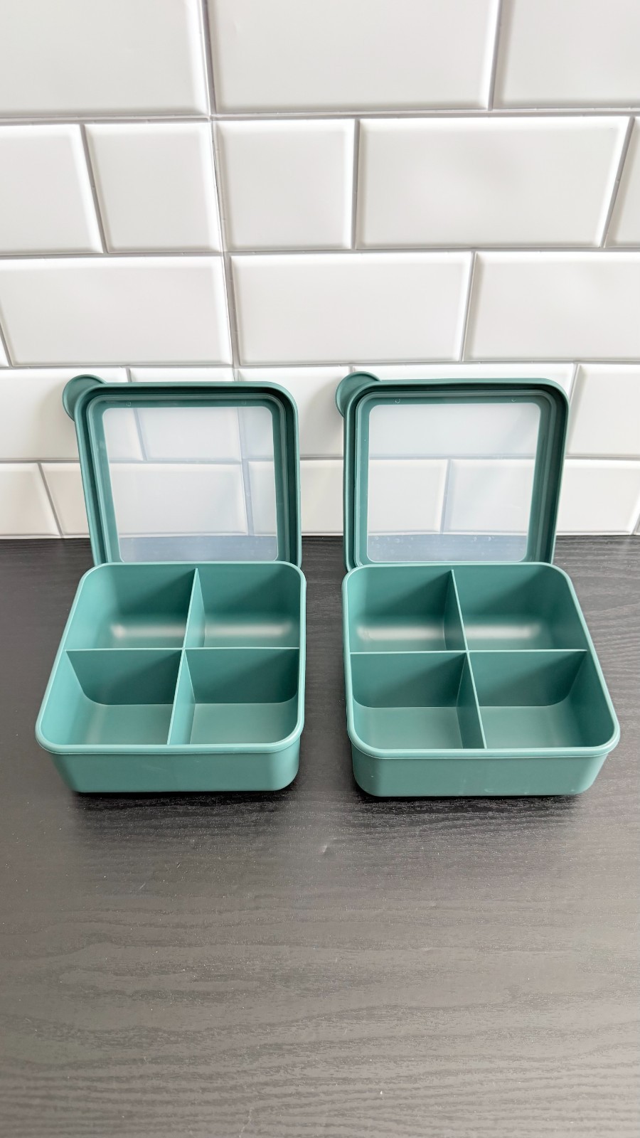 NEW Figmint Bento Boxes Set of 12 Containers | Target Exclusive - Blue & Green