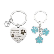 Heart-Shaped Pet Memorial Keychain with Blue Pet Paw Print Keychain Silver