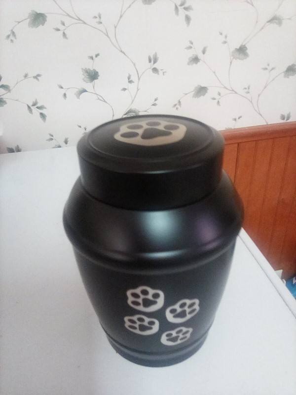 Pet Urn for Dog & Cat Ashes -Cremation Memorial Small Black Urn to 35 lbs