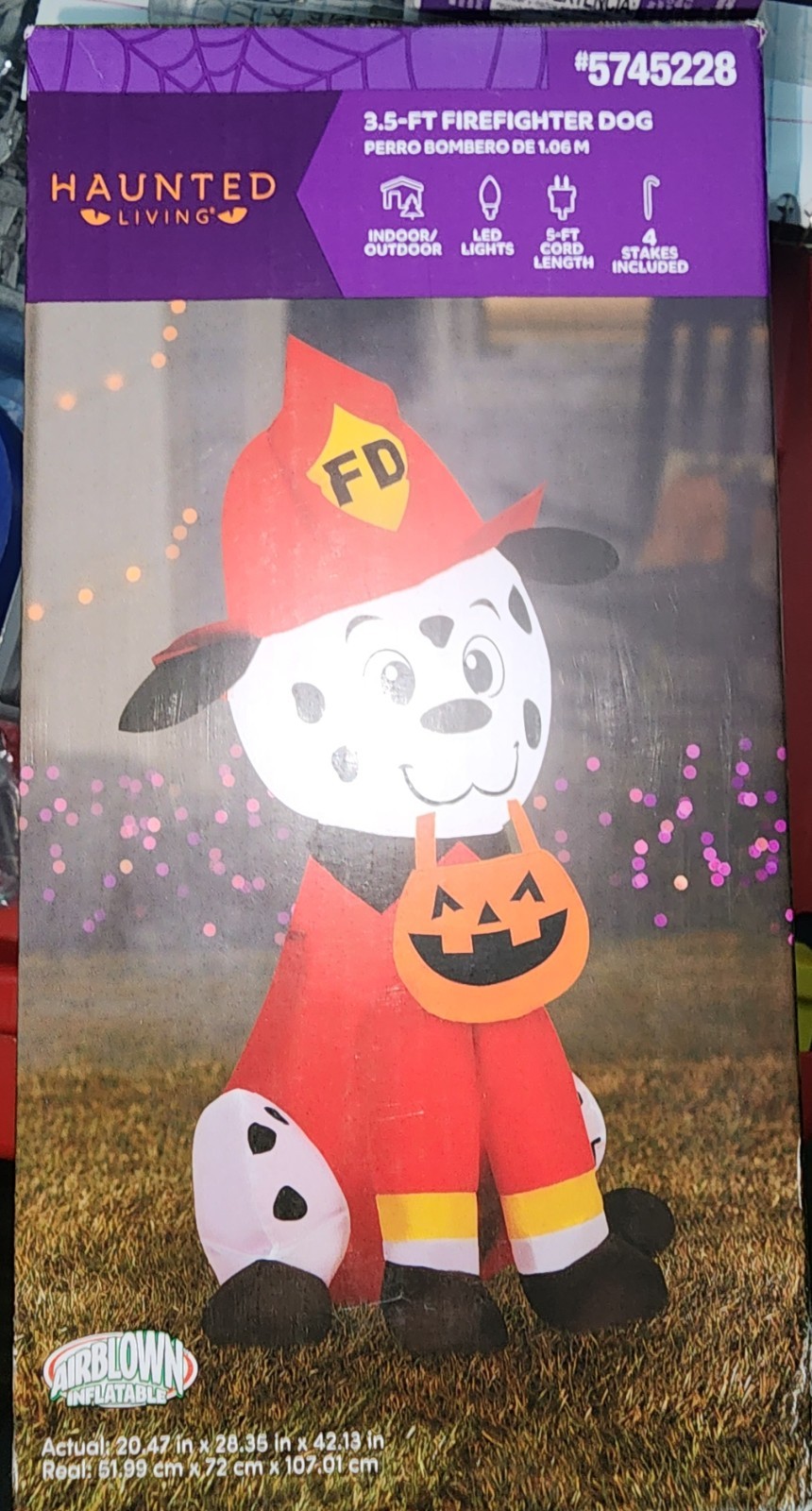 Foto 9 di 13