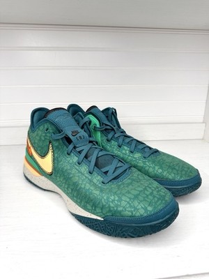 Nike Zoom LeBron NXXT Gen Geode Teal Low Top Cushioned DR8784-301 Size 14