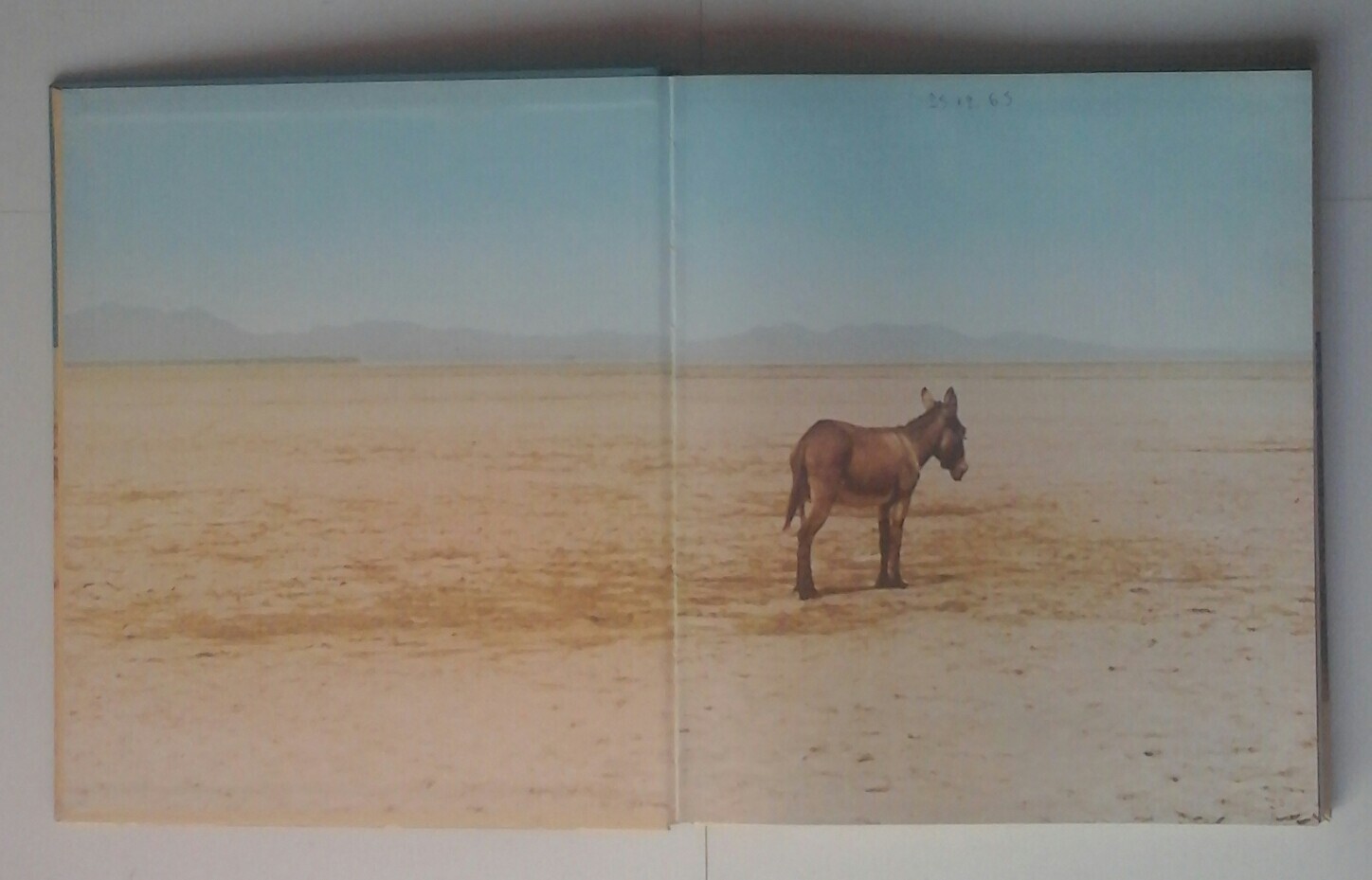 Picture 3 of 14