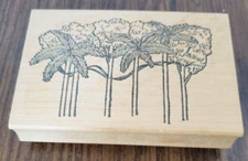 Double D Wood Mounted Tropical Oasis Trees and Palms Rubber Stamp H2120