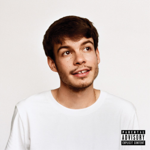 Альбом Rex Orange County Pony explicit_lyrics (CD)