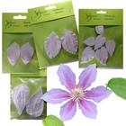 Leaf Veiner Petal Mould CLEMATIS - ALDAVAL Sugar Flower Cake Tool for Sugarcraft